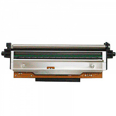 Печатающая головка 203 dpi для принтера АТОЛ TT621 в Петропавловске-Камчатском